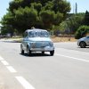 Montevago 2010 (431)